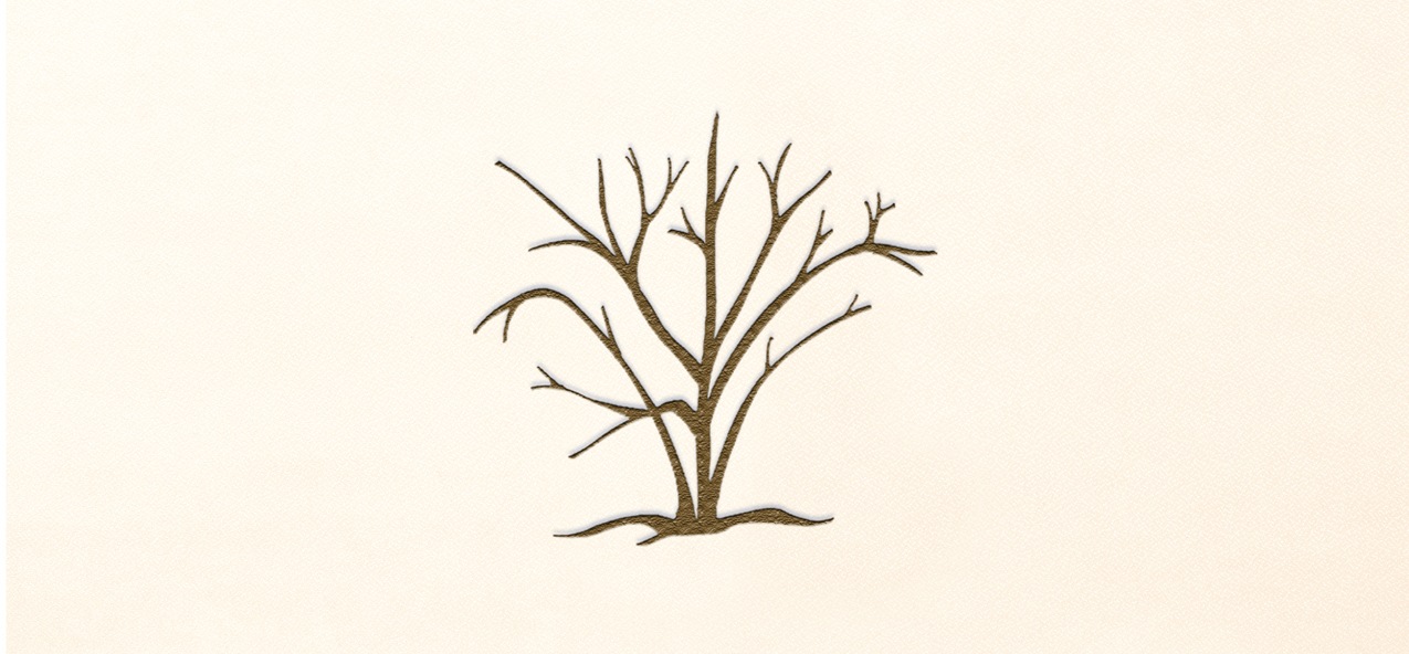 Birch Tree Rosetan-Bronze Faux